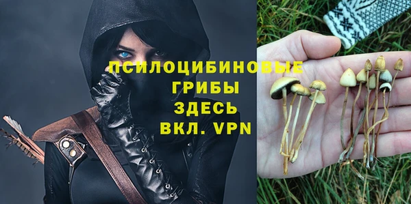 дживик Ахтубинск