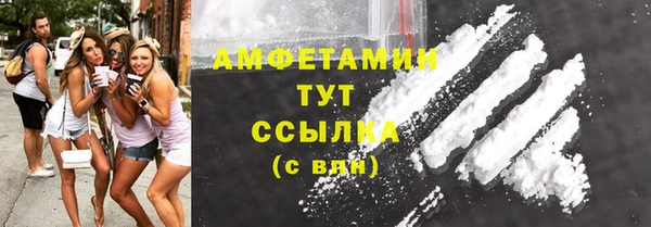 шишки Аша