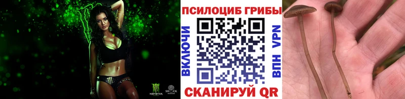 Галлюциногенные грибы мухоморы  кракен ссылки  Каневская 
