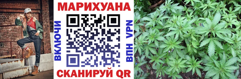 Канабис гибрид  Каневская 
